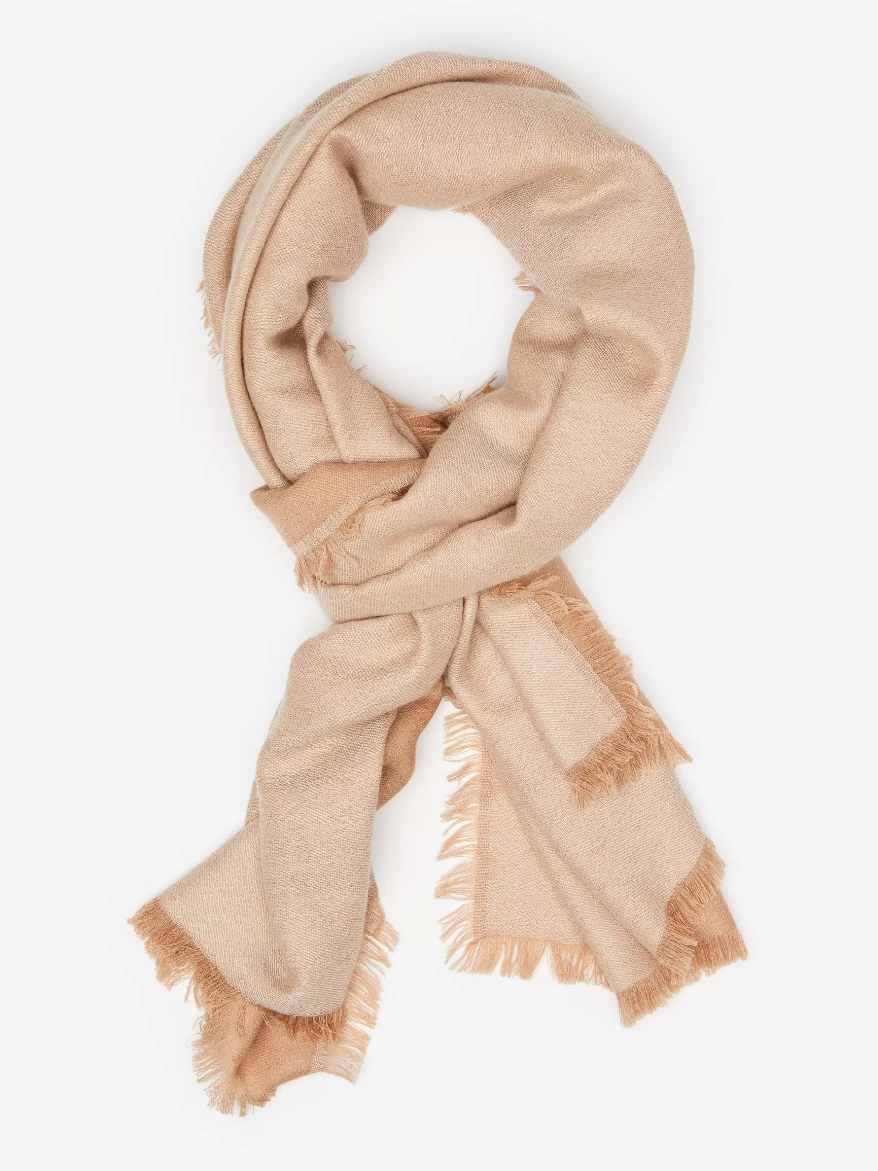 Shop Carey Cashmere Scarf Women Shoes & Accessories | Scarves