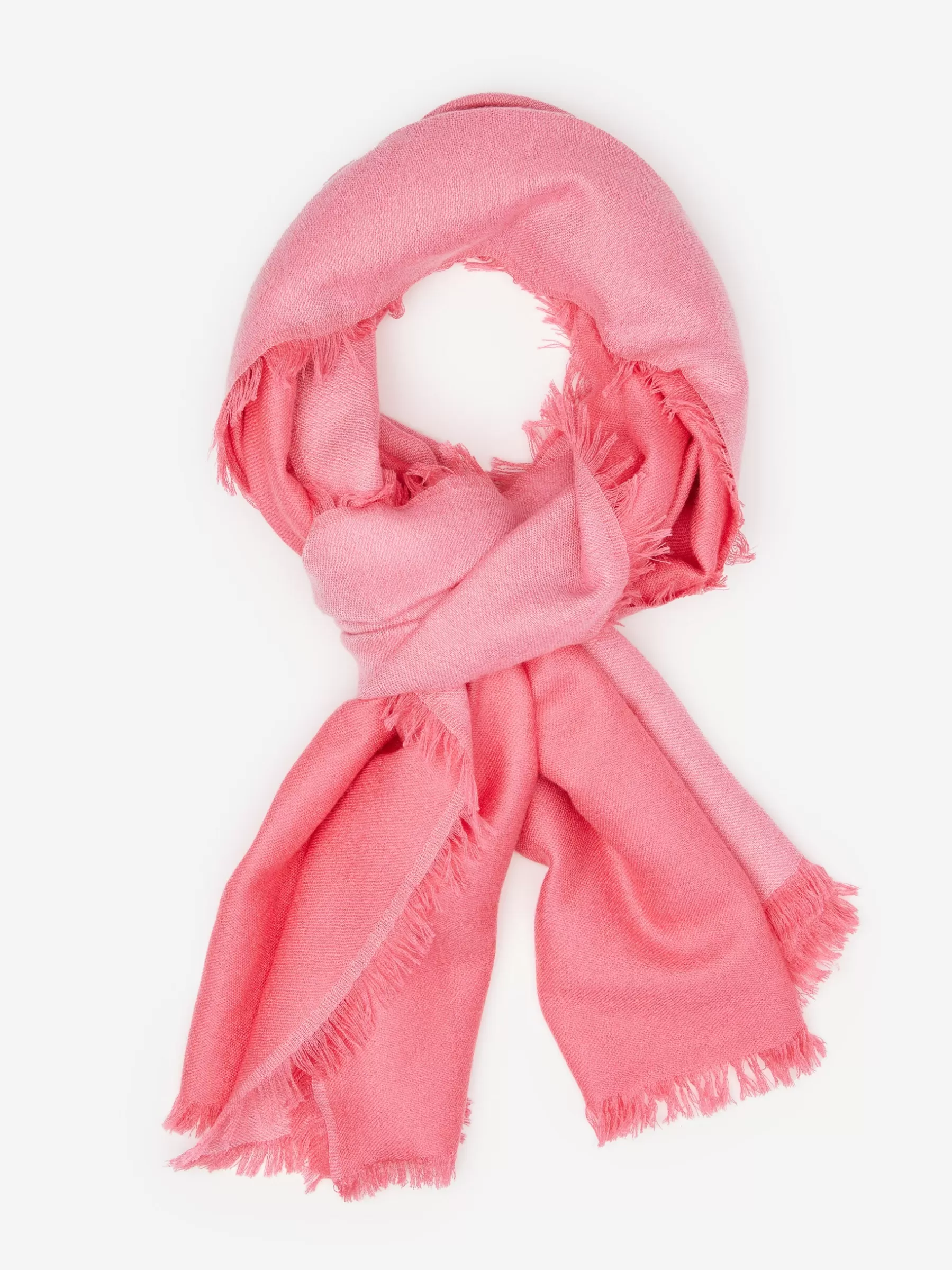 Fashion Carey Cashmere Scarf Women Shoes & Accessories | Scarves